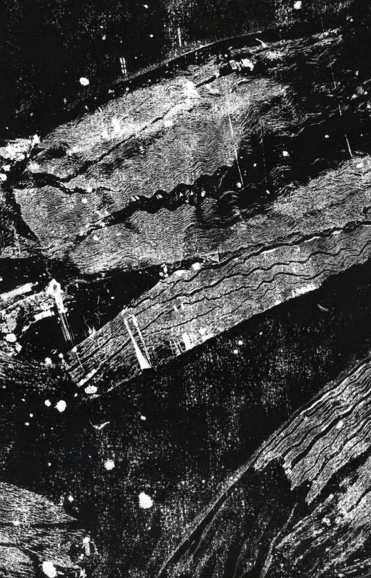 Écorces tombées [1-23]