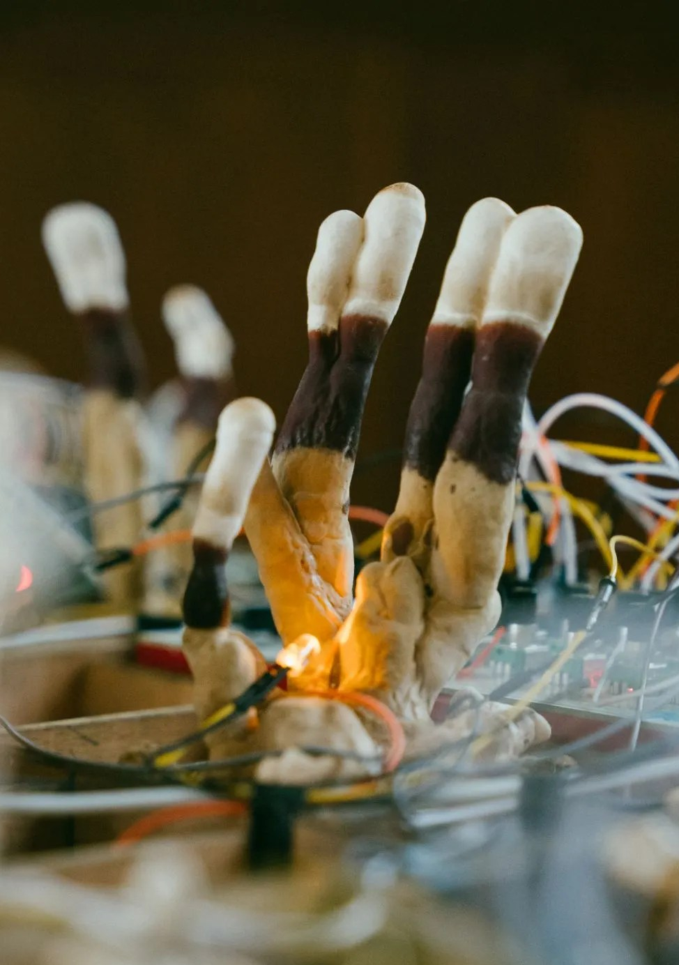 an act of arriving (or becoming&nbsp;visible)